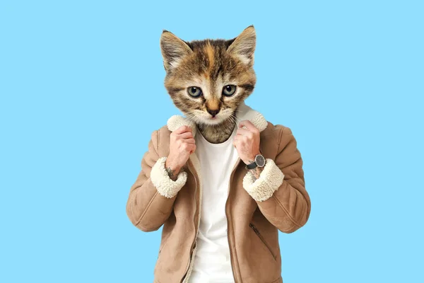 Cute stylish cat with human body on light blue background