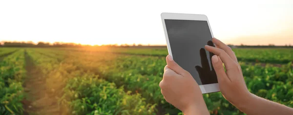 Tarlada Tablet Bilgisayarı Olan Çiftçi Tasarım Için Pankart — Stok fotoğraf