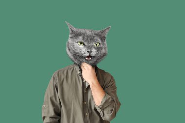 Yeşil arka planda insan vücudu olan gri kedi.