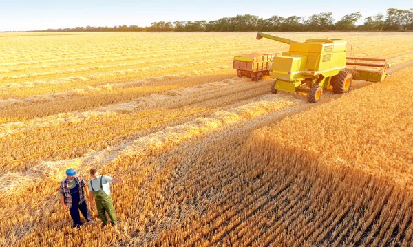 Harvesting Wheat Summer Day — Stock Photo, Image