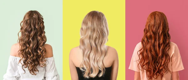 Mulheres Jovens Com Cabelo Ondulado Bonito Fundo Colorido Visão Traseira — Fotografia de Stock