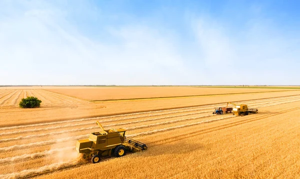 Combine Harvesters Wheat Field — Stock Photo, Image