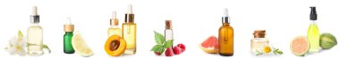 Beyaz üzerine izole edilmiş birçok temel yağ