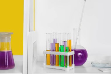 Renk duvarının yanındaki rafta numuneler bulunan laboratuvar camları.