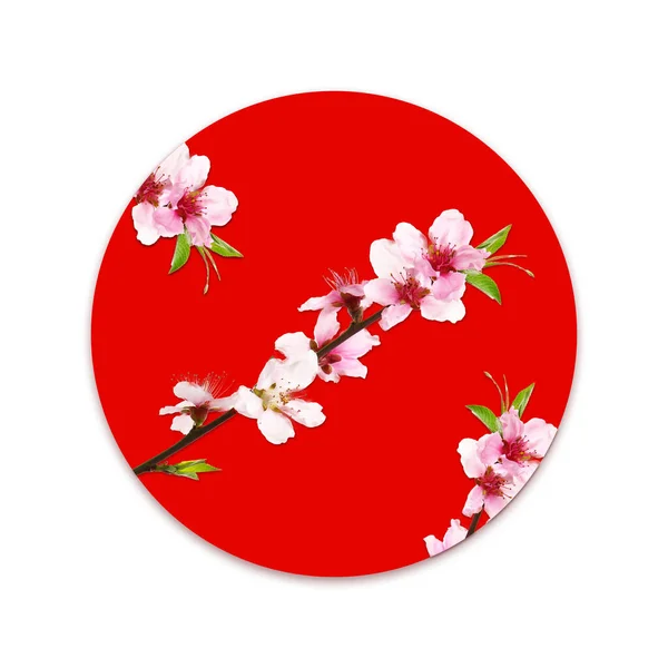 Kreatív Zászló Japán Gyönyörű Virágzó Ágak — Stock Fotó