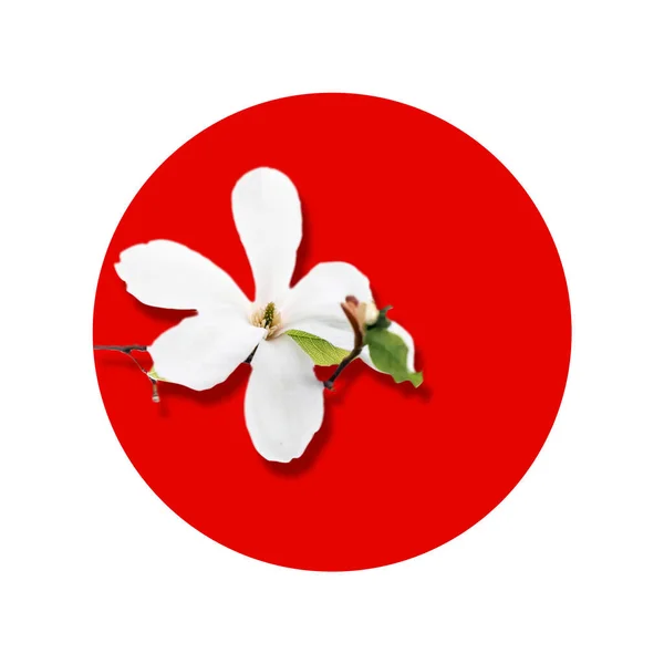 Kreatív Zászló Japán Gyönyörű Virággal — Stock Fotó