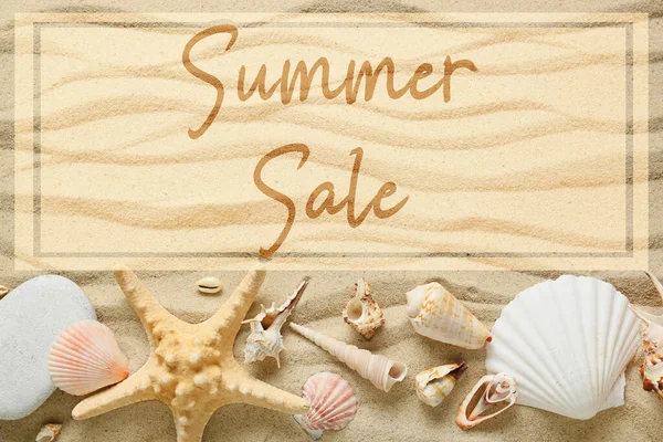 Many Different Sea Shells Beach Sand Summer Sale — Stock Photo, Image