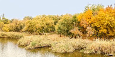 Sonbahar günü güzel bir park ve nehir manzarası