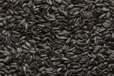 arka plan olarak siyah ayçiçeği tohumu