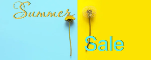 Dandelions Yellow Blue Background Summer Sale — Stock Photo, Image