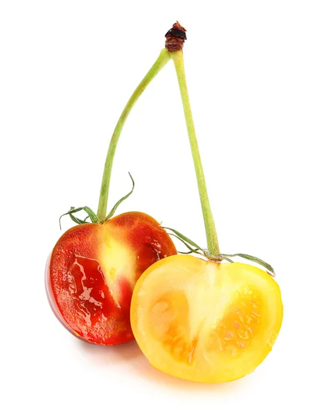 토마토가 열매를 배경으로 십시오 Gmo — 스톡 사진