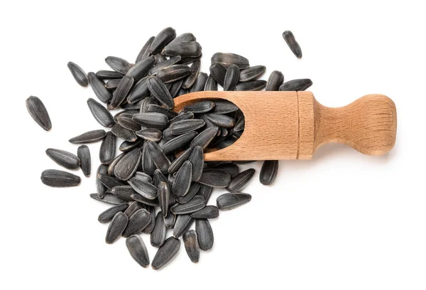 Wooden Scoop Unpeeled Sunflower Seeds White Background — Stock Photo, Image