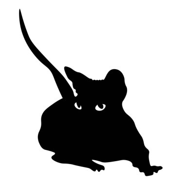 Silhouette of lying Sphynx cat on white background
