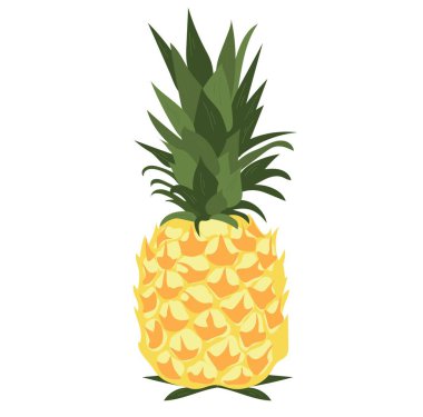 beyaz zemin üzerinde olgunlaşmış ananas