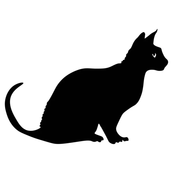 Silhouette Chat Assis Sphynx Sur Fond Blanc — Image vectorielle