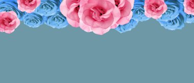 Mavi arkaplanda güzel çiçekler ve metin için yer var. Tasarım için pankart