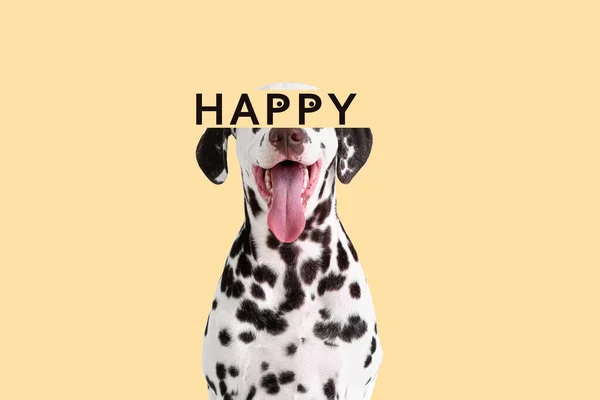 Cute Dalmatian Dog Word Happy Beige Background — Stock Photo, Image