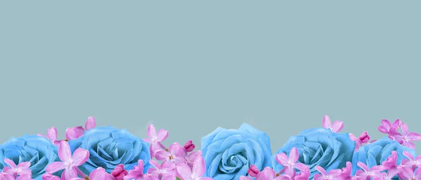 Hermosas Rosas Flores Lila Sobre Fondo Azul Con Espacio Para — Foto de Stock