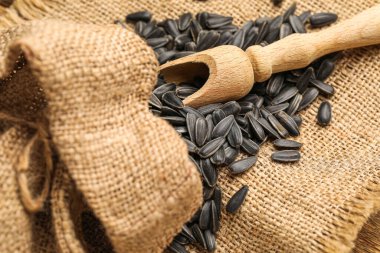 Tahta arka planda kepçeli çuval ve ayçekirdeği.