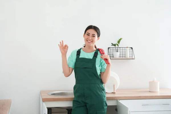 Asiática Mujer Fontanero Mostrando Cerca Fregadero Cocina —  Fotos de Stock