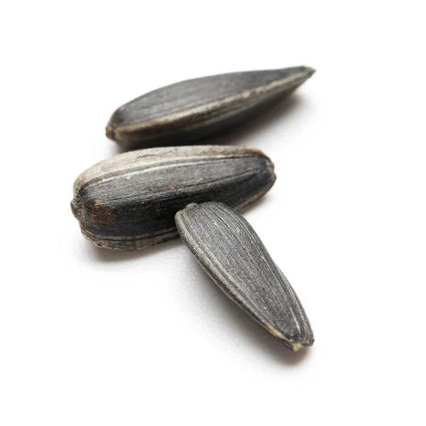 Unpeeled Sunflower Seeds White Background — Stock Photo, Image