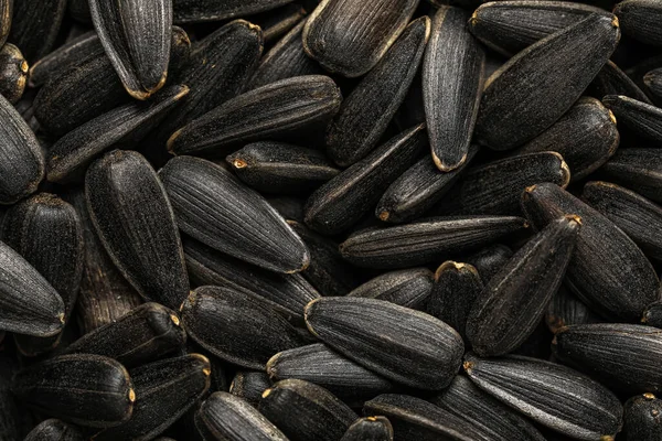 Arkaplan olarak siyah ayçiçeği tohumları, yakın plan