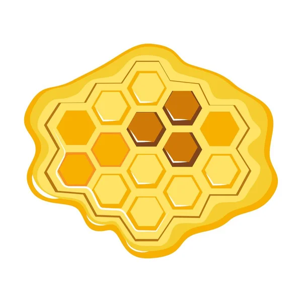 Sweet Honey Combs White Background Top View — Stock Vector