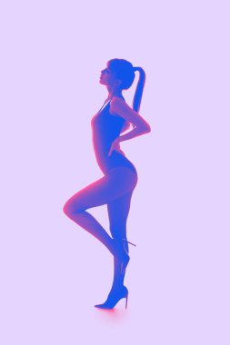 Leylak arka planında güzel genç bir kadının silueti.