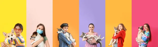 Conjunto Mulheres Com Cães Bonitos Fundo Colorido Dia Amizade — Fotografia de Stock
