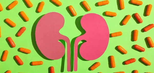 Paper Kidneys Many Pills Green Background — Stock Photo, Image