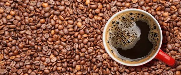 Cup Hot Coffee Roasted Beans Banner Design — Stock Photo, Image