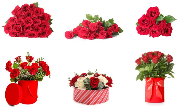 Conjunto Muitas Rosas Vermelhas Isoladas Branco — Fotografia de Stock
