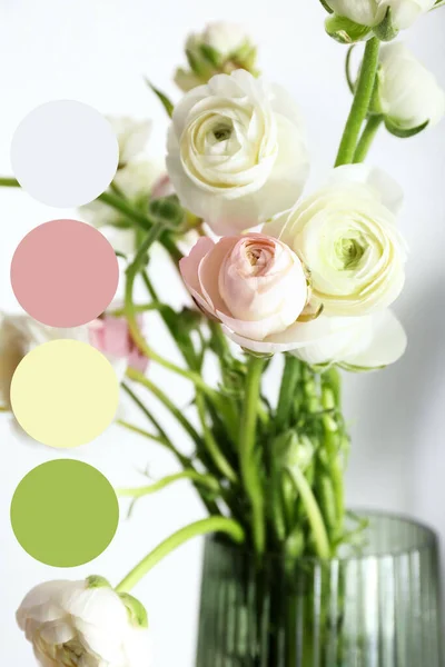 Vaas Met Prachtige Ranunculus Bloemen Verschillende Kleurpatronen — Stockfoto