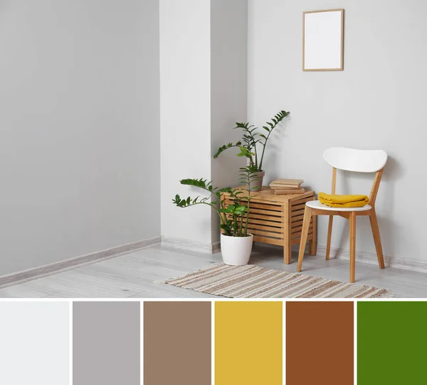 Interior of light room with houseplants and eco furniture. Different color patterns