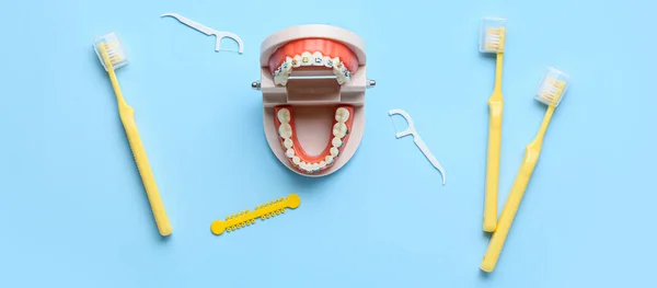 Modelo Mandíbula Con Tirantes Dentales Mondadientes Cepillos Sobre Fondo Azul — Foto de Stock