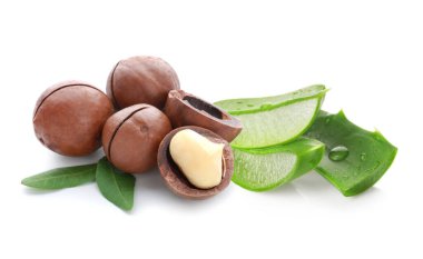 Taze aloe vera yaprakları ve beyaz arka planda Macadamia fındıkları.