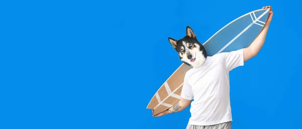Lindo Perro Con Cuerpo Humano Tabla Surf Sobre Fondo Azul — Foto de Stock