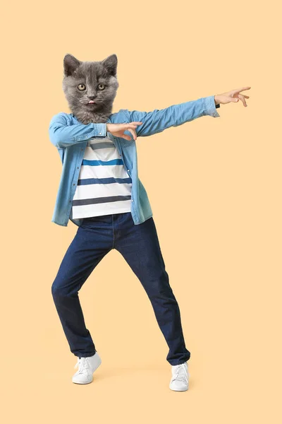 베이지 배경에 사람의 고양이 춤추는 — 스톡 사진