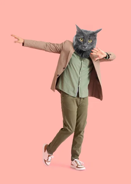 Dançando Gato Com Corpo Humano Fundo Rosa — Fotografia de Stock