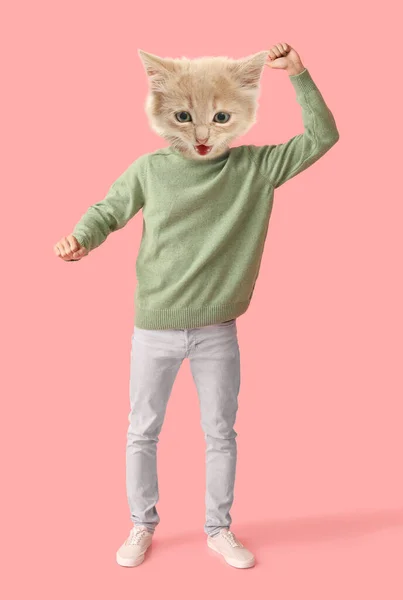Dancing Kitten Human Body Pink Background — Stock Photo, Image