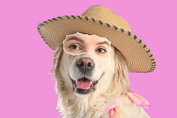 Cão Labrador Bonito Com Olhos Humanos Chapéu Elegante Fundo Cor — Fotografia de Stock