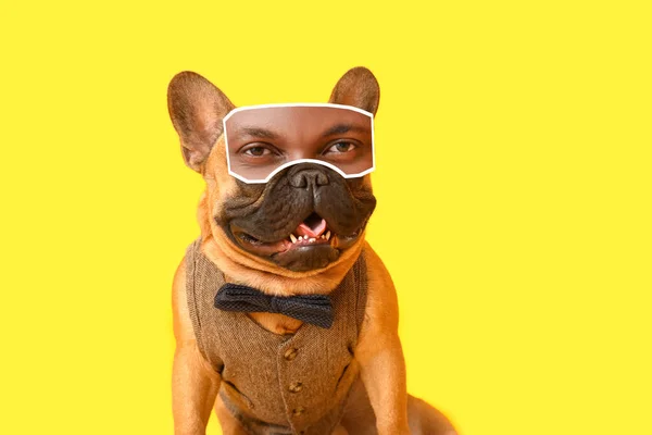 Niedliche Modische Französische Bulldogge Mit Menschlichen Augen Auf Gelbem Hintergrund — Stockfoto