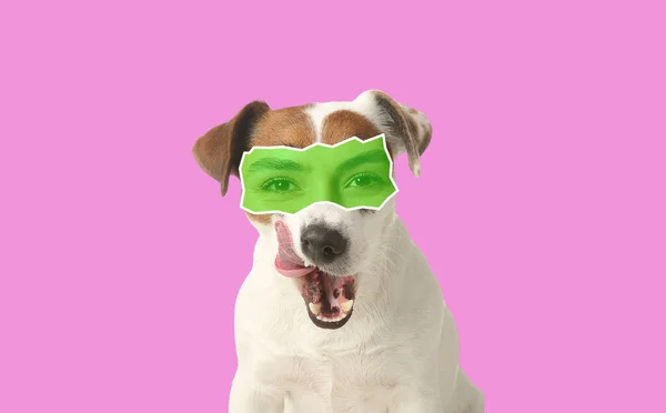 Cute Jack Russell Terrier Human Eyes Color Background — Stock Photo, Image