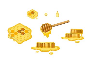 Tatlı bal tarakları ve beyaz arka planda kepçe