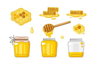 Beyaz arkaplanda taze bal seti