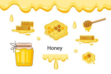 Beyaz arkaplanda taze bal seti