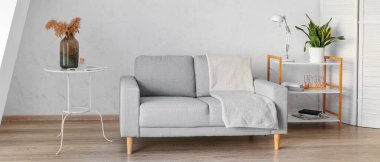 Rahat kanepeli, aydınlık oturma odasının içi