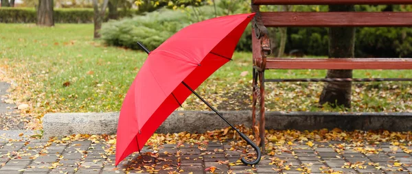 公園のベンチ近くのスタイリッシュな明るい傘 — ストック写真