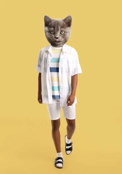 Vtipné Šedé Kotě Lidským Tělem Barevném Pozadí — Stock fotografie