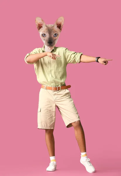 Vicces Tánc Szfinx Macska Emberi Test Rózsaszín Háttér — Stock Fotó